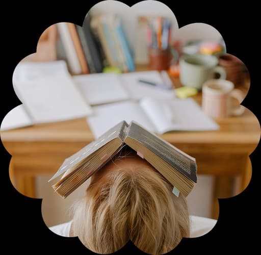 Renée chat interface